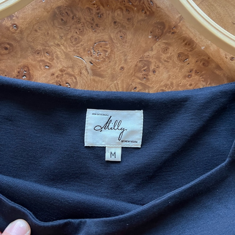 Milly Colorblock Shift Dress✨ - Picture 3 of 4